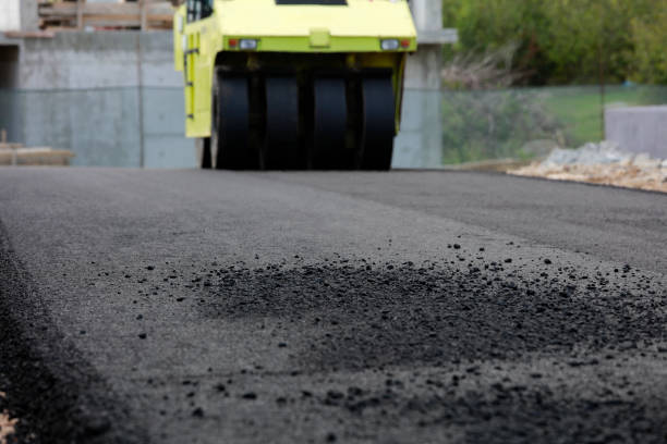 Best Driveway Pavers Cost  in Dayton, NV
