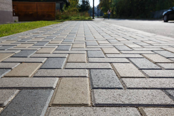 Best Commercial Driveway Pavers  in Dayton, NV