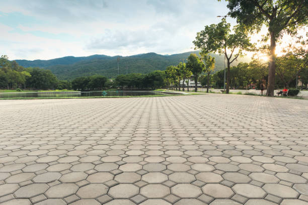Best Professional Driveway Pavers  in Dayton, NV