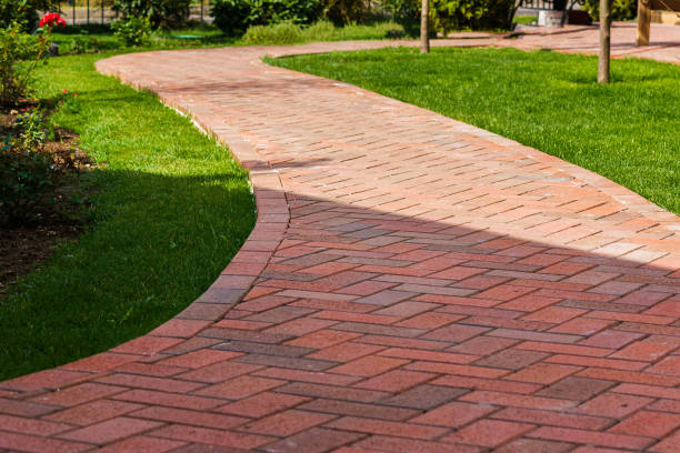 Best Local Driveway Pavers  in Dayton, NV