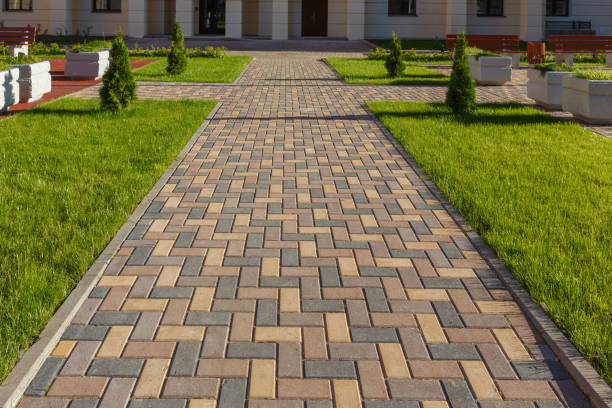 Best Decorative Driveway Pavers  in Dayton, NV